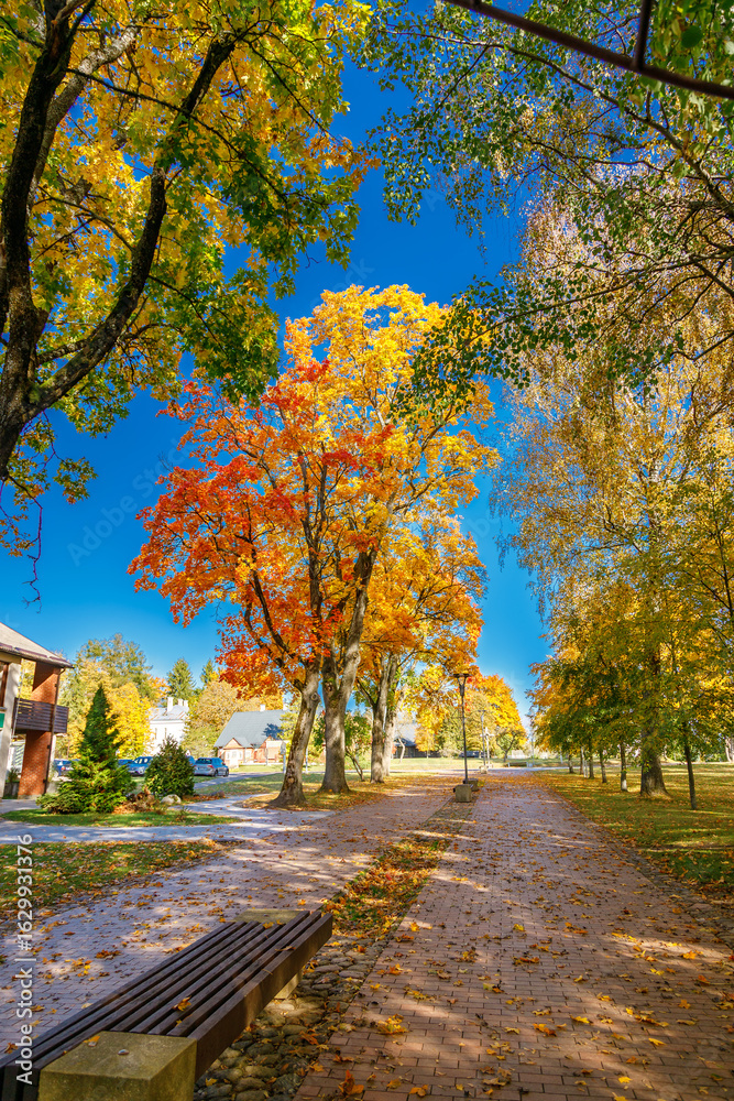 Naklejka premium Picturesque autumn pathway lined with vibrant trees in shades of orange and yellow, with a park bench and distant buildings