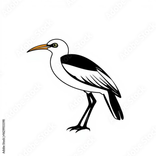 Bronzewinged_Jacana_Animal