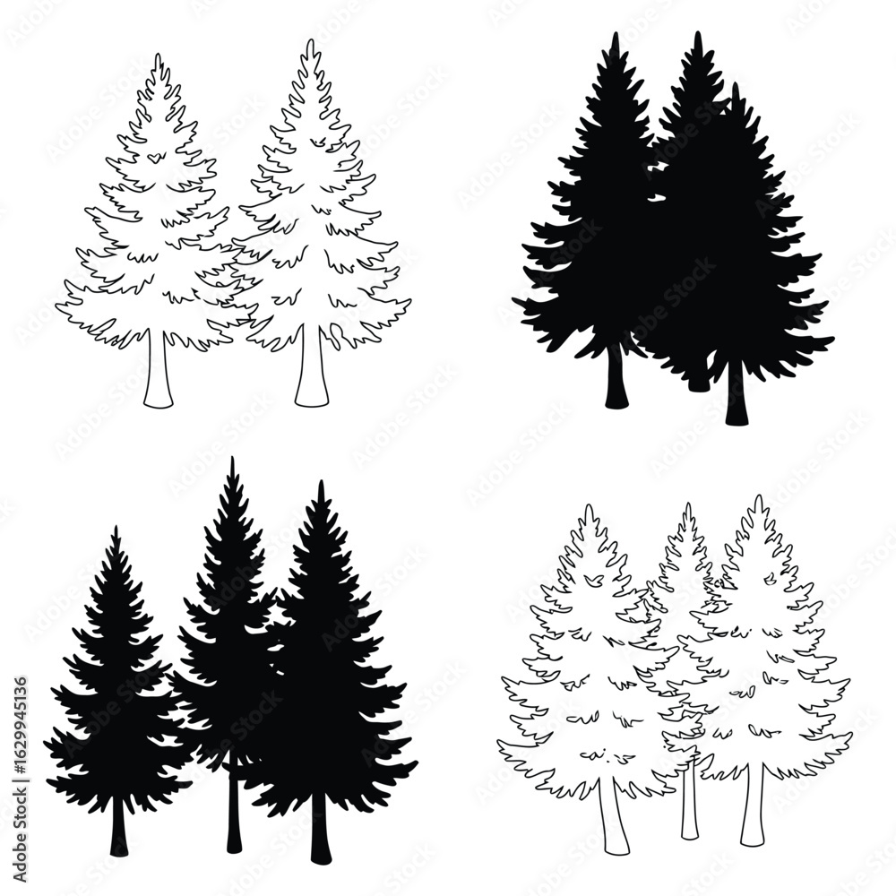 Obraz premium Three tall evergreen fir trees in silhouette against a white background