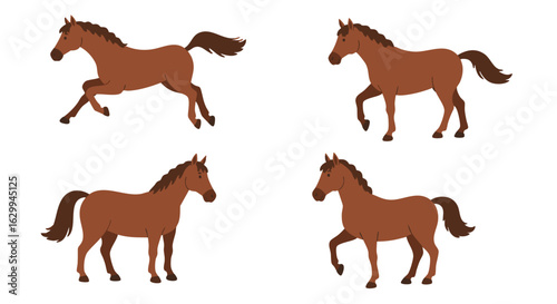 A vector set of brown horse illustrations depicting various gaits and movements, including galloping, trotting, walking, and standing.
