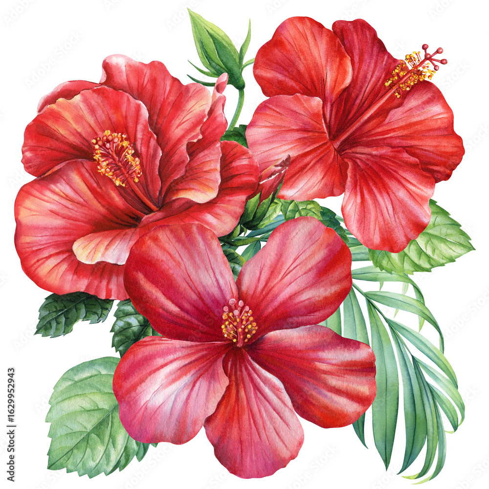 Obraz premium tropical red hibiscus flowers bouquet with green leaves in vibrant summer watercolor botanical Jungle poster, summer beach design