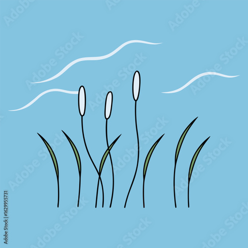 Vector art of cattails with white tops growing in the water under a blue sky