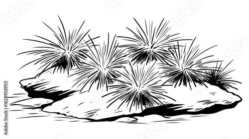 Black and white illustration of plants on rocks