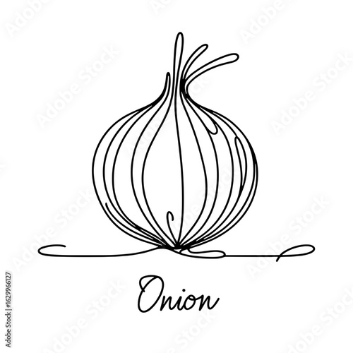 Onion with onion text outline drawing, vector, black line drawing, minimalistic, single line, simple line, isolated, transparent background 