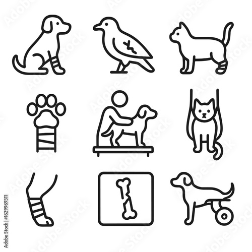 Animal Injury Icons. Outline icon set of fracture in animals: broken leg, fractured wing, tail injury, paw cast, vet examination,