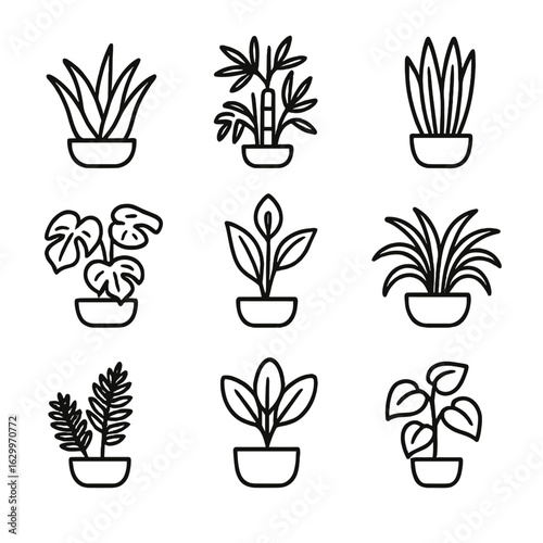 Air-Cleansing Plant Icons. Outline icon set of plant types that clean air: aloe vera, bamboo palm, snake plant