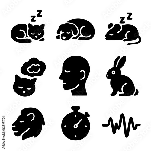Animal Sleep Stages. Solid, filled icons set of sleep cycles and stages in animals: REM sleep, deep sleep,