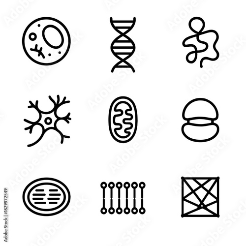 Biology Icons Grid. Outline icon set of biological structures: cell, DNA helix, protein, neuron, mitochondrion, ribosome,
