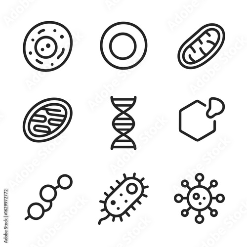 Biology Outline Icons. Outline icon set of trace elements in biology: cell, nucleus, mitochondria, chloroplast, DNA helix, enzyme,