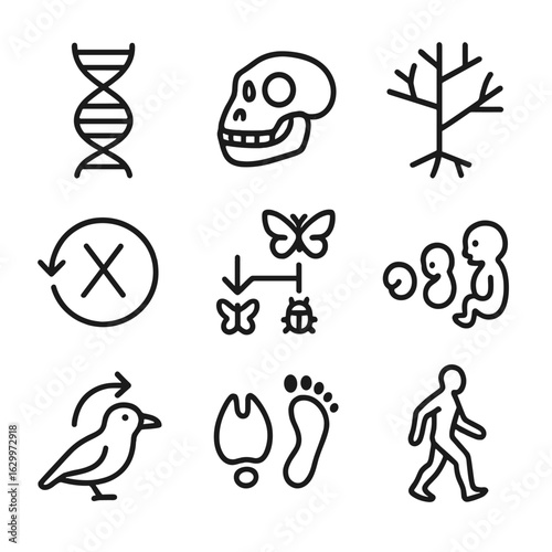 Biological Evolution Icons. Outline icon set of biological evolution: DNA helix, fossil skull, tree of life, mutation symbol,