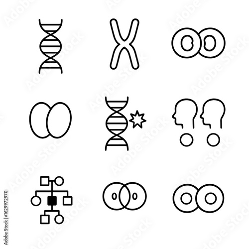 Biological Inheritance Icons. Outline icon set of biological inheritance: DNA helix, chromosome, gene, allele, mutation, dominant
