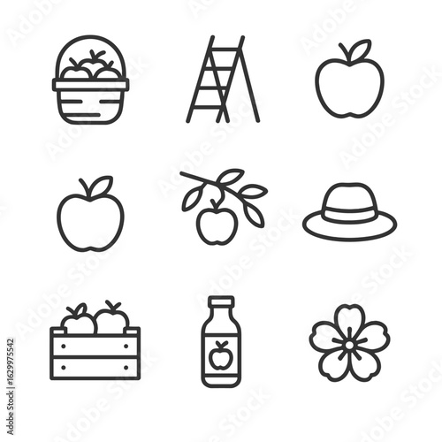 Apple Orchard Icons. Outline icon set of apple orchard adventures: apple basket, picking ladder, red apple, green apple, tree