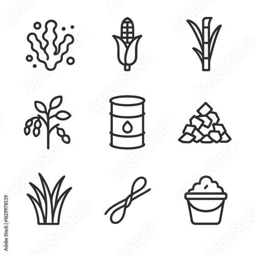 Biofuel Feedstock Icons. Outline icon set of biofuel feedstocks: algae bloom, corn stalk, sugarcane cane, soybean plant, waste oil