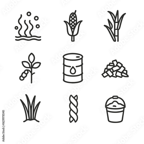 Biofuel Feedstock Icons. Outline icon set of biofuel feedstocks: algae bloom, corn stalk, sugarcane cane, soybean plant, waste oil