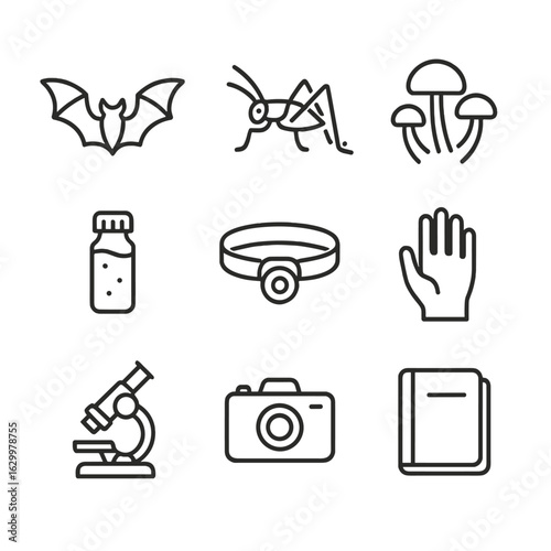 Biospeleology Icon Set. Outline icon set of biospeleology research: bat silhouette, cave cricket, fungus cluster, water sampling