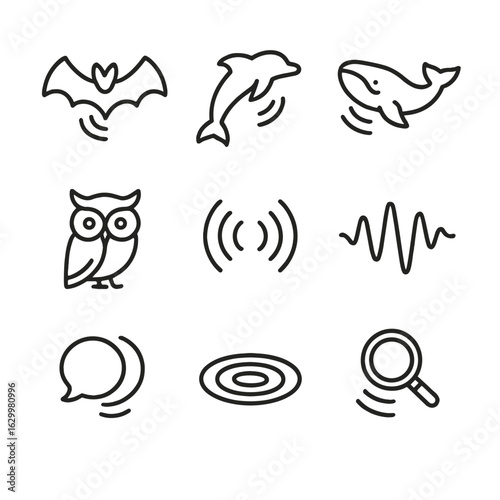 Echolocation Icon Set. Outline icon set of echo location in animals: bat, dolphin, whale, owl, sonar pulse, echolocation wave,