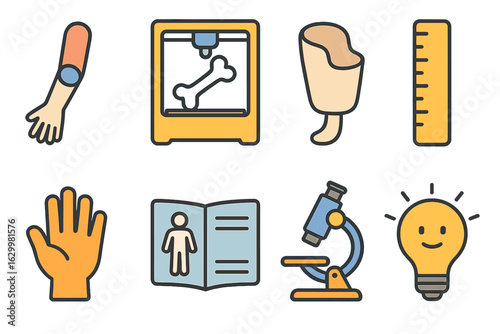 Children's Anatomy Illustrations. Flat vector mini-illustrations training models and simulators in colors children's illustrations