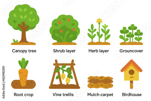 Children's Food Forest. Flat vector mini-illustrations food forest layering in colors children's illustrations: canopy tree, shrub