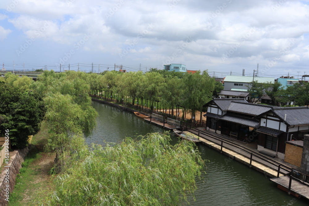 Fototapeta premium 水郷潮来あやめ園