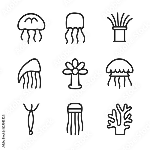 Cnidarian Icons Grid. Outline icon set of cnidarian species: moon jellyfish, box jellyfish, sea anemone, coral polyp, Portuguese