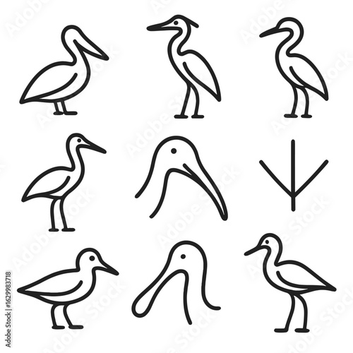 Coastal Waders Icon Set. Outline icon set of coastal waders: pelican silhouette, heron standing, egret pose, stork outline, ibises