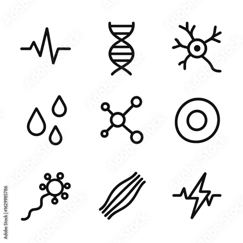Health Trace Icons. Outline icon set of trace in health and biology: heartbeat line, DNA trace, neuron path, blood trail,