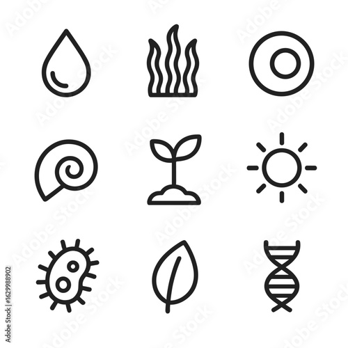 Life's Origin Icons. Outline icon set of origin of life: water droplet, algae, single cell, spiral shell, seed sprout, sun,