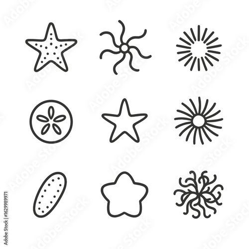 Echinoderm Icon Grid. Outline icon set of echinoderm varieties: common starfish, brittle star, sea urchin, sand dollar, sea