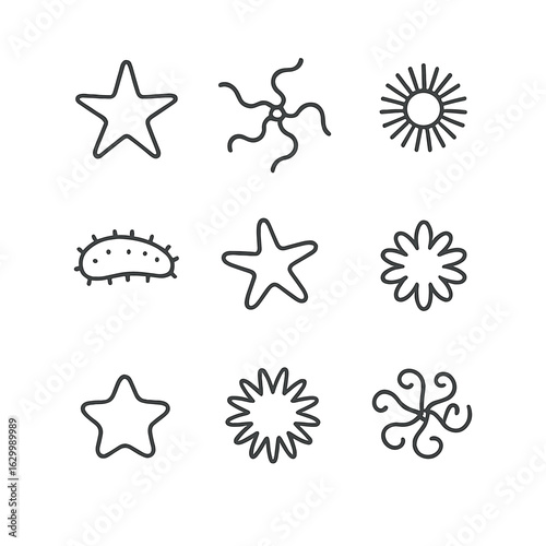 Echinoderm Icon Grid. Outline icon set of echinoderm varieties: common starfish, brittle star, sea urchin, sand dollar, sea