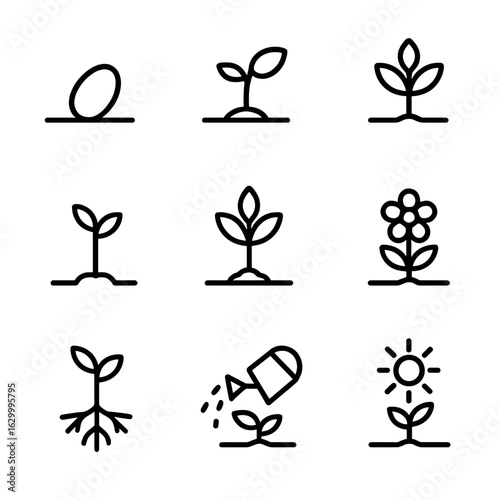 Plant Growth Icons. Outline icon set of plant growth stages: seed, sprout, seedling, young plant, mature plant, bloom icon, root