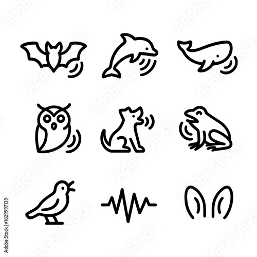 Animal Echo Icons. Outline icon set of echo in animals: bat sonar, dolphin echolocation, whale song, owl hoot, dog bark echo, frog