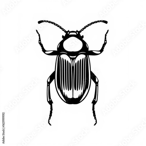 Ambrosia Beetle Animal Icon
