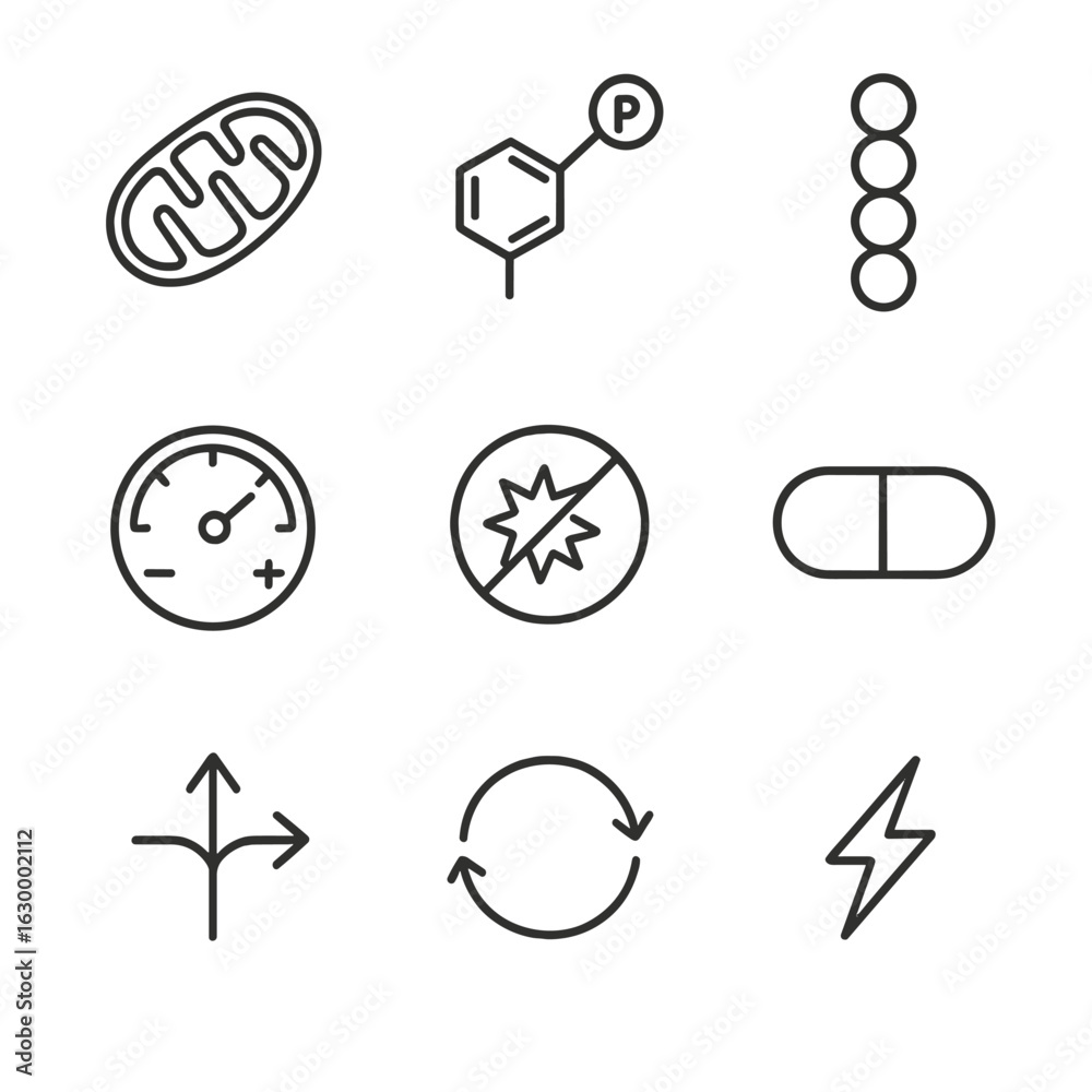 Fototapeta premium Mitochondrial Rejuvenation Icons. Outline icon set of mitochondrial rejuvenation and bioenergetics: mitochondrion organelle, ATP