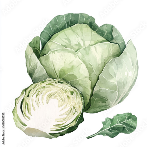 a cute Cabbage an a slice on the table