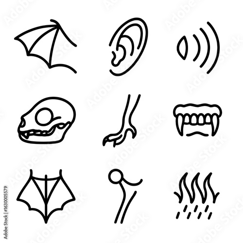 Bat Anatomy Icons. Outline icon set of bat anatomy: wing membrane, ear structure, echolocation call symbol, skull outline, clawed