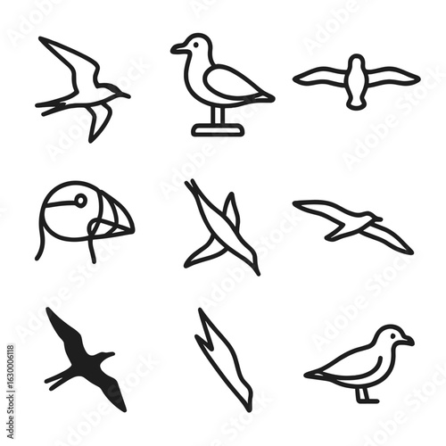Reef Seabirds Icon Set. Outline icon set of reef and seabirds: tern in flight, gull perched, albatross wingspan, puffin beak,