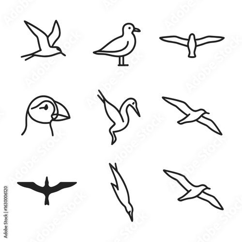 Reef Seabirds Icon Set. Outline icon set of reef and seabirds: tern in flight, gull perched, albatross wingspan, puffin beak,
