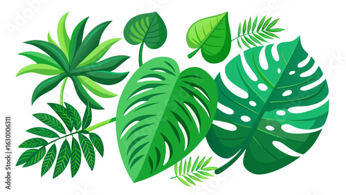 Vector art of collection of lush green tropical leaves, including monstera and fern, isolated on a white background in a vibrant flat illustration style