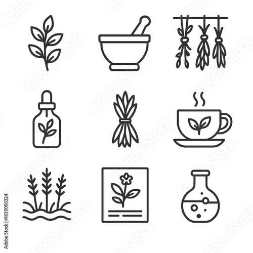 Herbal Magic Icons. Outline icon set of herbal magic: herb sprig outline, mortar and pestle, drying herbs hanging, tincture bottle