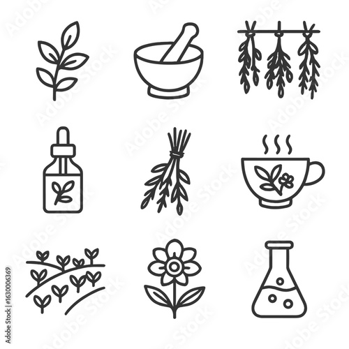 Herbal Magic Icons. Outline icon set of herbal magic: herb sprig outline, mortar and pestle, drying herbs hanging, tincture bottle