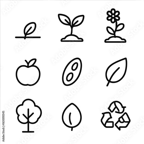 Life Cycle Icons. Outline icon set of life cycle: seed, sprout, plant, flower, fruit, seed pod, leaf, tree, recycling symbol. Line