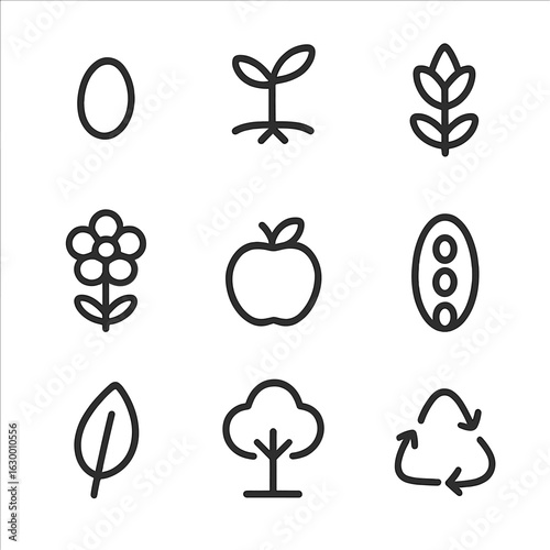Life Cycle Icons. Outline icon set of life cycle: seed, sprout, plant, flower, fruit, seed pod, leaf, tree, recycling symbol. Line