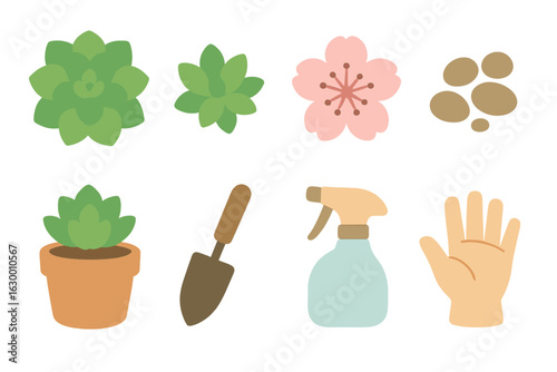 Succulent Bloom Combo. Flat vector mini-illustrations succulent and bloom combo in colors children's illustrations: echeveria