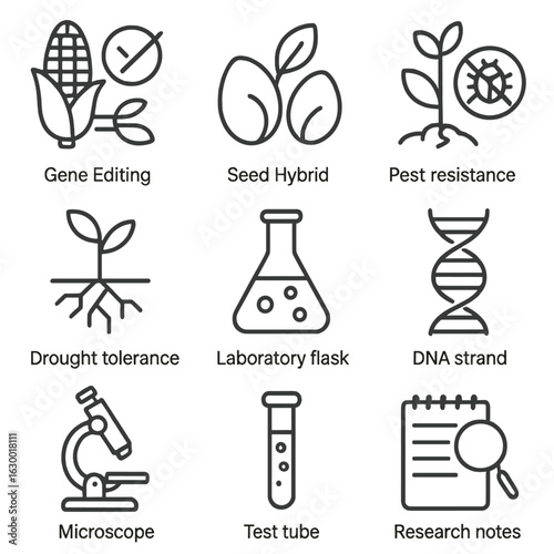 Crop Improvement Icons. Outline icon set of crop improvement: gene editing, seed hybrid, pest resistance,