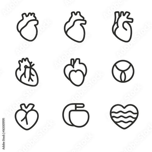 Heart Anatomy Icons. Outline icon set of heart anatomy: atrium, ventricle, aorta, coronary artery, vena cava, heart valve, septum,