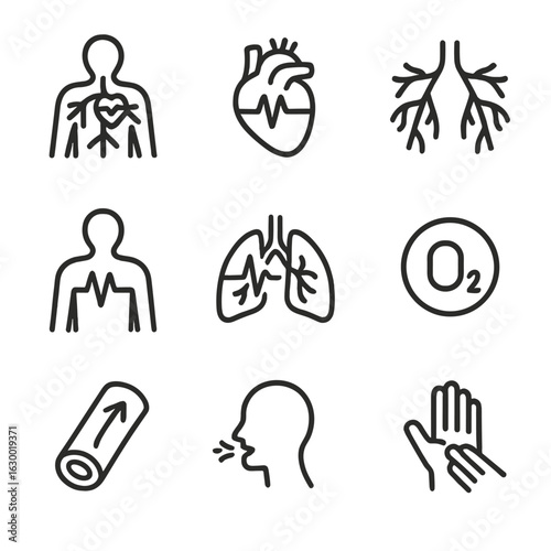 Heartbeat Icon Set. Outline icon set of heartbeat in the human body: circulatory system, arteries, veins, chest, lungs, oxygen,