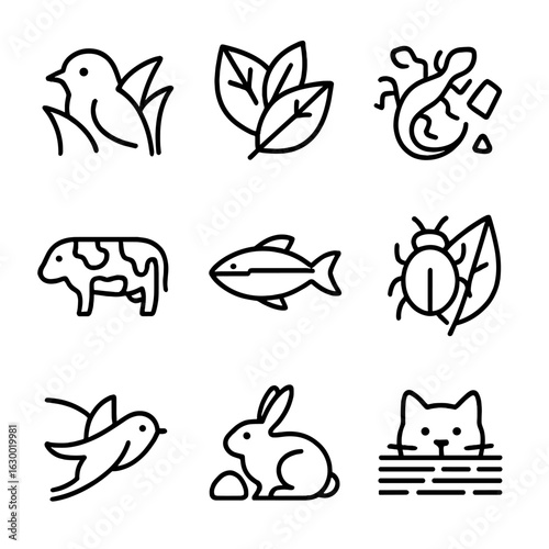 Camouflage Icon Set. Outline icon set of camouflage techniques: blending, mimicry, disruptive patterns, counter shading,