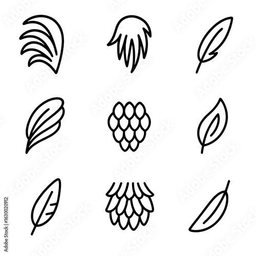 Rooster Feather Icon Set. Outline icon set of rooster plumage details: tail feather fan, neck hackle feathers, saddle feather