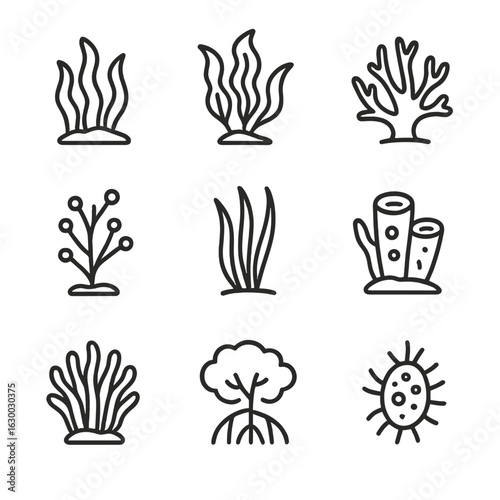 Marine Plant Icons. Outline icon set of marine plants: seaweed, kelp, coral, algae, seagrass, sponge, anemone, mangrove, plankton.