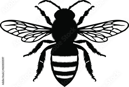 Vector art of a detailed black vector graphic of a bee with striped abdomen and delicate wings ready to pollinate flowers